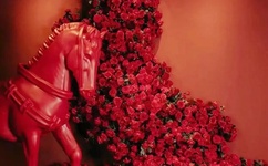 国际鞋子设计在线